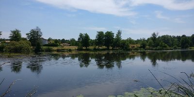 [REPLAY] le patrimoine naturel des communes : comment le restaurer ?